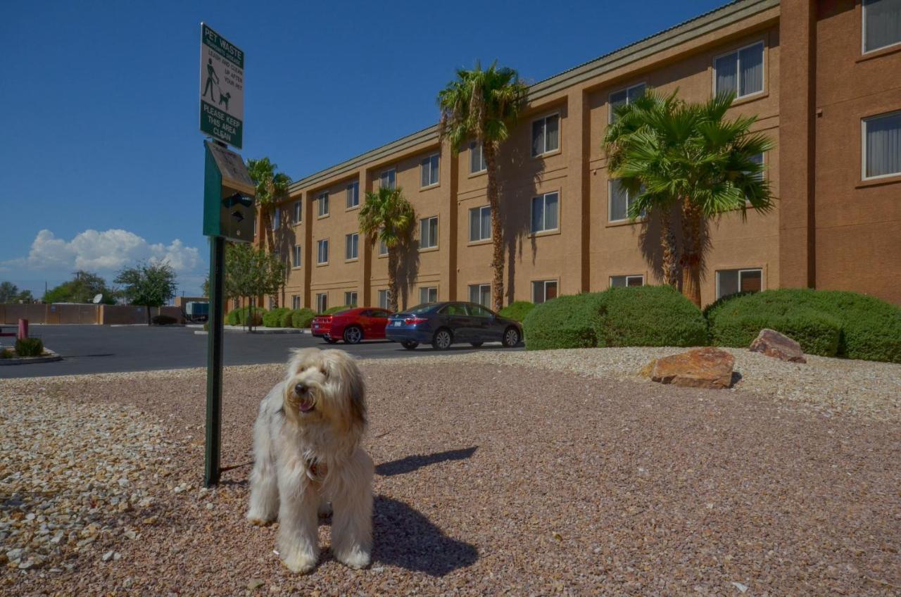 Holiday Inn Express Las Vegas-Nellis By Ihg Zewnętrze zdjęcie